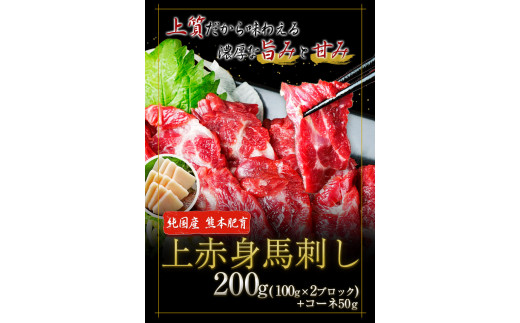 上赤身馬刺し200g(100g×2ブロック)＋コーネ50g【純国産熊本肥育】《30日以内に出荷予定(土日祝除く)》