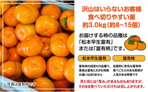 [№5911-0273]全国でも有名な「綾川町産千疋の柿」訳ありサイズ混合 約3.0kg