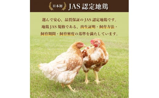 阿波尾鶏 ぜいたくガパオ 10食入 130g×10パック ガパオライス 国産 鶏肉 地鶏 エスニック タイ料理 常温 レトルト 