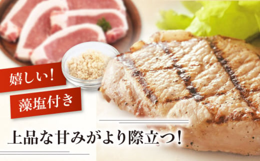 肉 豚肉 ロース ステーキ ステーキ用 とんかつ トンテキ 生姜焼き 冷蔵配送