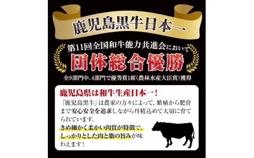 D-101 肉質最高ランク5等級 鹿児島黒牛すき焼きセット(計約600g)国産 九州産 鹿児島産 国産牛 牛肉 すき焼き 肩ロース ウデ肉 5等級【鹿児島いずみ農業協同組合】a-24-8-z