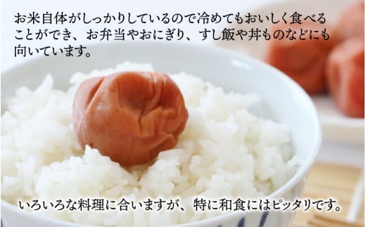 【令和6年産 新米】越前大野産 一等米 帰山農園の「てんたかく」 白米 5kg × 1袋