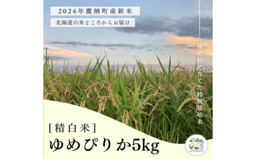 A252【令和６年産】ゆめぴりか（精白米）特Aランク 5kg 北海道 鷹栖町 たかすのおむすび 米 コメ ご飯 精 白米 お米 ゆめぴりか