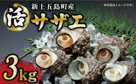 きれいな上五島の海で育った新鮮なサザエです。お刺身・つぼ焼きなど、様々なお料理で美味しくお召し上がりいただけます。