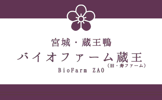 蔵王本鴨 しゃぶしゃぶ鍋セット2～3人前　【04301-0125】