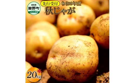 【四国一小さなまちのじゃがいも】★令和6年11月中旬発送開始★ 大野台地で採れた『 令和6年産 秋じゃが 』 20kg