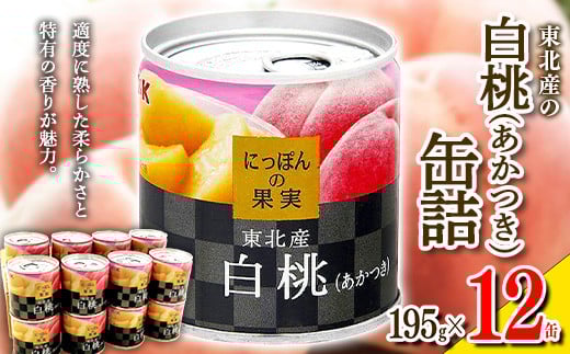 八朔合馬 尺八 (しゃくはち） 玉山銘 真竹 都山流 1尺6寸 高級管