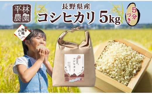 無地熨斗 令和6年産 コシヒカリ 5分づき米 5kg×1袋 長野県産 米 お米 ごはん ライス 分つき米 農家直送 産直 信州 人気 ギフト 平林農園 熨斗 のし 名入れ不可 送料無料 長野県 大町市