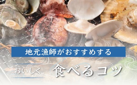 ＜6ヶ月毎月届く定期便!＞九十九里浜産活天然はまぐりサイズお任せ2kg入り SMBB006