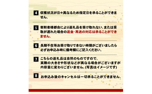 あわび 大サイズ 8個 約1.1kg 冷蔵 鮑 あわび アワビ 蝦夷あわび 活あわび Abalone 刺し身 刺身 海産物 海鮮 魚介 魚介類 ステーキ  バターソテー バーベキュー BBQ ごはん おつまみ 晩酌 米 贈答品 正月 お正月 おせち お中元 お歳暮 国産 三陸産 岩手県 大船渡市