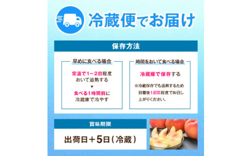 ＜2025年発送＞JA中野市直送　糖度センサー選別糖度13度以上『桃』2.1kg以上(6～8玉)【1482187】