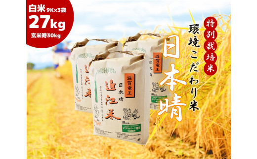  2023年産 日本晴れ 白米 27kg  ( 9kg × 3袋入 )  （ 玄米時 30kg ） お米 おこめ 米 化学肥料不使用 特別栽培米 国産 近江米 農家直送 産地直送 滋賀県 竜王町 送料無料