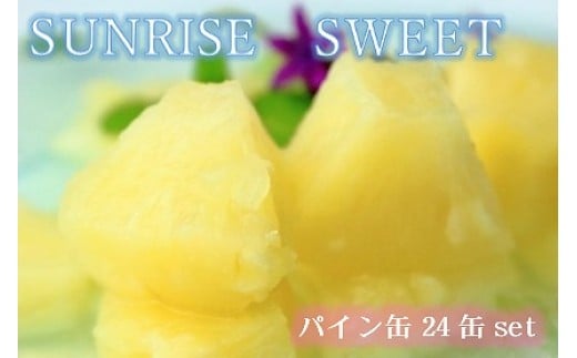 パインアップル缶詰【SUNRISE　SWEET】24缶セット