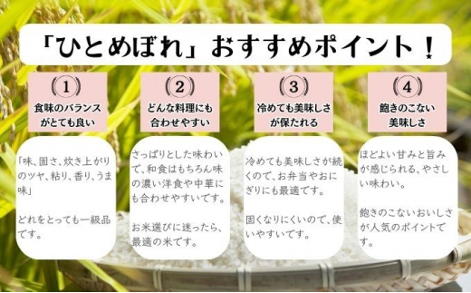 ★精米したてが1番！★令和5年産 盛岡市産 ひとめぼれ 5kg×2『定期便6ヶ月』 ◆1等米のみを使用したお米マイスター監修の米◆