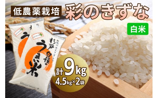 新米 低農薬栽培の彩のきずな《白米》9kg (4.5kg×2袋)｜おいしい お米 コメ こめ ご飯 ごはん 白米 玄米 お取り寄せ 直送 贈り物 贈答品 ふるさと納税 埼玉 杉戸 [0550]