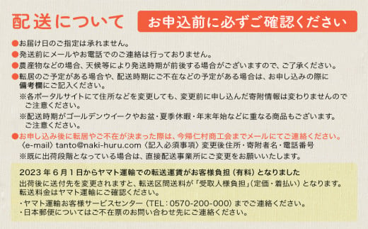 【先行予約】【定期便　限定100セット】今帰仁産パインアップル3種味比べセット【2025年6・7・8月　3回配送】