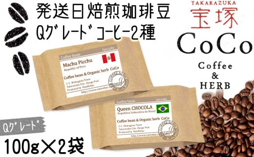 【宝塚】Qグレード珈琲2種類 当日自家焙煎珈琲100g×2袋 miniサイズ【粉】