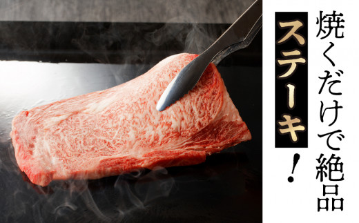 宮崎牛 ロース ステーキ 2枚 500ｇ 牛肉 肉 国産 小分け ブランド牛 ギフト 贈り物 九州 宮崎 霜降り