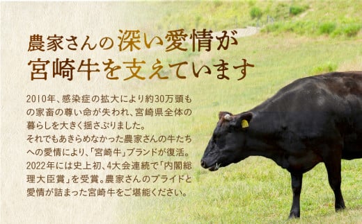 宮崎牛 ロース ステーキ 2枚 500ｇ 牛肉 肉 国産 小分け ブランド牛 ギフト 贈り物 九州 宮崎 霜降り