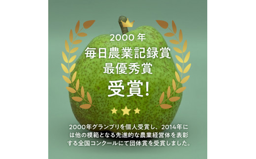 【2024年先行予約】西洋梨《ラ・フランス》約1.5kg（4～8玉）光センサーで糖度14度以上を確認済