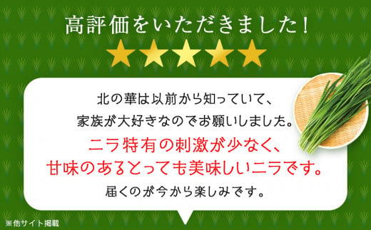 【2025年発送予約】知内産 一番ニラ「北の華」10束【JA新はこだて】