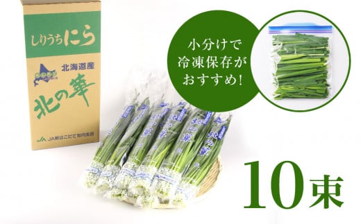 【2025年発送予約】知内産 一番ニラ「北の華」10束【JA新はこだて】