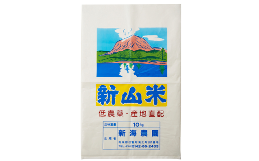 【令和6年産 新米】新山米（ななつぼし）約10kg 【 ふるさと納税 人気 おすすめ ランキング 北海道 壮瞥 新米 米 白米 ななつぼし 甘い おにぎり おむすび こめ 贈り物 贈物 贈答 ギフト 大容量 詰合せ セット 北海道 壮瞥町 送料無料 】 SBTC006