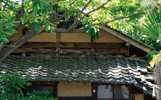 空き家建物の巡回管理（室内清掃なしコース）