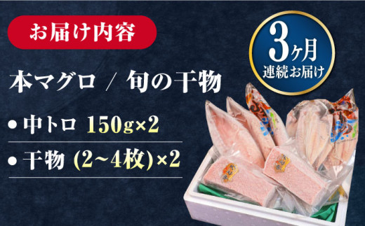 【全3回定期便】対馬産 本マグロ 中トロ 300g & 旬の干物 2種 《対馬市》【対海】 [WAH009] マグロ まぐろ 鮪 本鮪 本マグロ 養殖 トロ 中トロ 中とろ 刺身 干物 旬 魚 地魚 アジ カマス 冷凍 海鮮 柵 お祝い 贈答 定期便 毎月届く