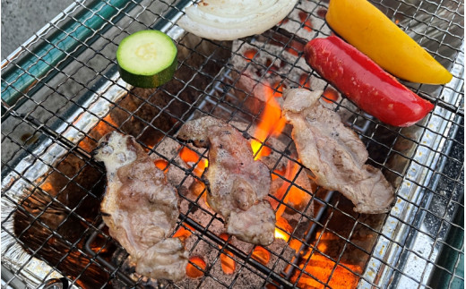 「紀州イノシシ肉」BBQ用セット【5～6人用セット】  / 田辺市 猪肉 イノシシ肉 イノシシ ボタン 肉  紀州ジビエ ジビエ バラ ロース 肩ロース 塊肉 バーベキュー BBQ【kgs008】