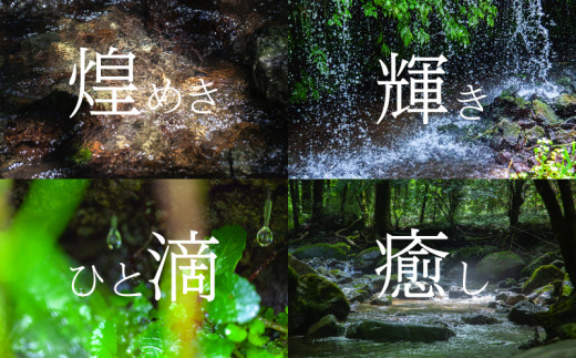 淡水パール&0.06ct ダイヤモンドネックレス（RP-MN-0184）【リズプラス】｜ ダイヤ ダイヤモンド パール 真珠 プラチナ ネックレス ペンダント ジュエリー アクセサリー ギフト プレゼント 鑑別書付 保証書付