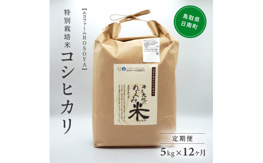 [№5667-0290]【12カ月連続お届け】新米 令和6年産 海と天地のめぐみ米（コシヒカリ） 白米5kg