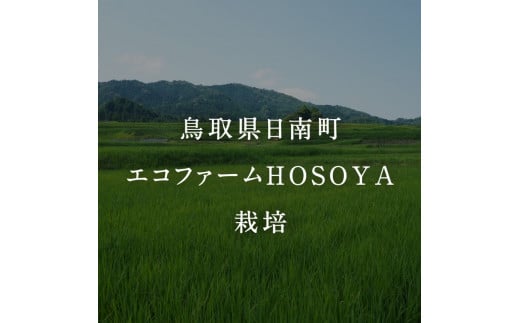 [№5667-0290]【12カ月連続お届け】新米 令和6年産 海と天地のめぐみ米（コシヒカリ） 白米5kg