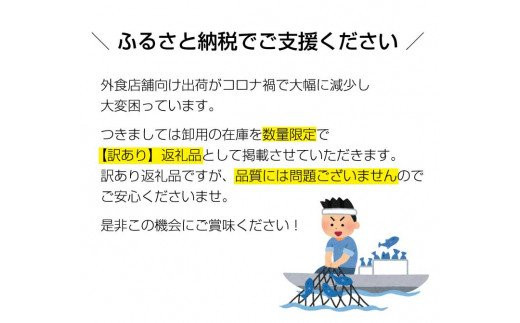 【訳あり】南紀本マグロ 希少部位三点セット約600g 本鮪 本まぐろ マグロ まぐろ 鮪 訳アリ【nks201】