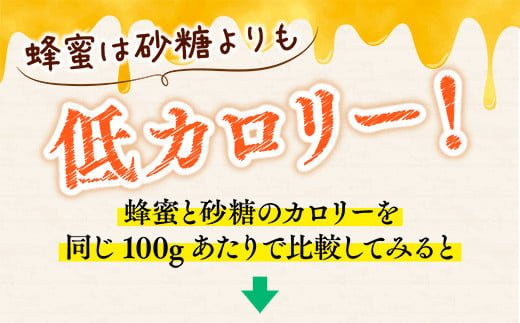 岩湧ハニー(百花、純粋はちみつ)　500ｇ×1本