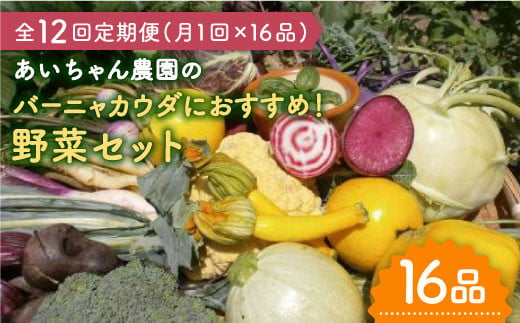 【16品×12回定期便】「バーニャカウダなどに♪」農薬に頼らない！カラダにやさしいお野菜の詰め合わせ【吉野ヶ里あいちゃん農園】[FAA034]