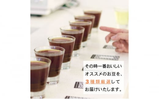 BREATHER COFFEE 珈琲飲み比べセット100g x 3袋 挽き方選択可 コーヒー 豆 極細引き エスプレッソ用 中粗挽き ペーパードリップ用 スペシャリティコーヒー　（中粗挽き）[№5875-7568]0748