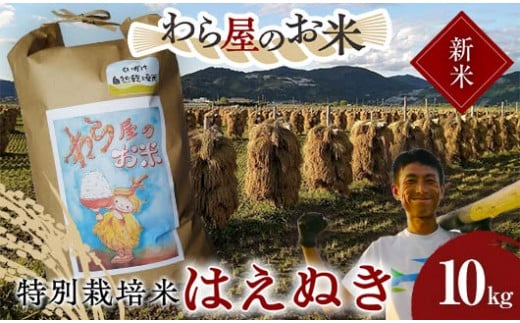 【令和6年産 新米 先行予約】 【わら屋のお米】 特別栽培米 はえぬき 10kg 《令和6年10月下旬～発送》 『おがわ藁農園』 米 白米 精米 ご飯 農家直送 山形県 南陽市  [2068-R6]