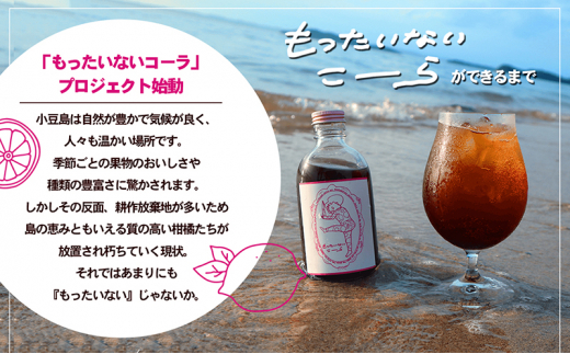 島柑橘が主役！もったいないこーら クラフトコーラシロップ 300ml×3本セット