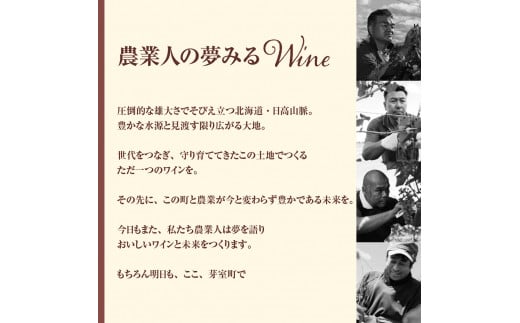 北海道十勝芽室町★数量限定★LEGAMEとCIDRE【北海道産リンゴ100％】 ２本セット 750ml×2本(箱入) me032-049c