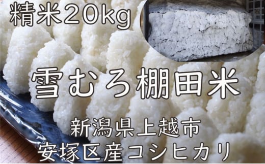 米 雪むろ 棚田米 コシヒカリ 20kg 精白米 こしひかり お米 こめ おすすめ ふるさと納税 ユキノハコ 新潟 新潟県産 にいがた 上越 上越産