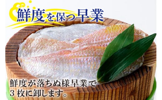 小鯛ささ漬 中樽 130g×1樽