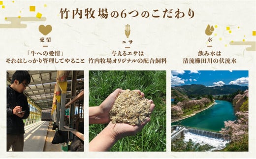 【定期便3カ月】 松阪牛 ロース 計1.5kg (500g×3種)  国産牛 和牛 ブランド牛 松阪牛 JGAP家畜・畜産物 農場HACCP認証農場 牛肉 肉 高級 人気 おすすめ 神戸牛 近江牛 に並ぶ 日本三大和牛 松阪 松坂牛 松坂 国産 定期便 定期 すき焼き すきやき 焼き肉 やきにく ステーキ 牛 牛肉 肉 にく 大人気 贅沢 おすすめ 贈り物 リピート 三重県 多気町 WT-19