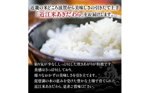 【 先行受付 】 令和6年産 新米 あきだわら 定期便 10kg 全12回 白米 5㎏ × 2袋 12ヶ月 近江米 アキダワラ 国産 お米 米 おこめ ごはん ご飯 白飯 しろめし こめ ゴハン 御飯 滋賀県産 竜王 ふるさと ランキング 人気 おすすめ