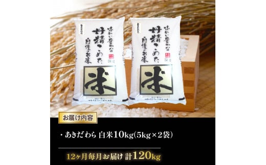 【 先行受付 】 令和6年産 新米 あきだわら 定期便 10kg 全12回 白米 5㎏ × 2袋 12ヶ月 近江米 アキダワラ 国産 お米 米 おこめ ごはん ご飯 白飯 しろめし こめ ゴハン 御飯 滋賀県産 竜王 ふるさと ランキング 人気 おすすめ