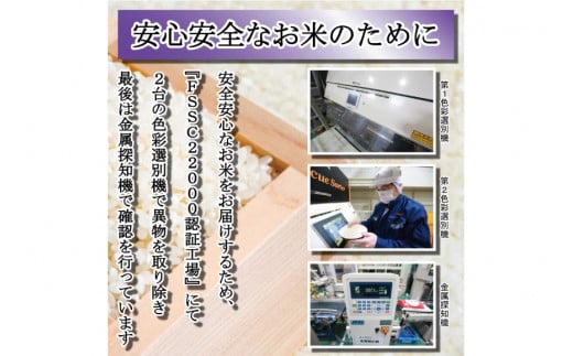 【期間限定発送】 米 令和6年 石川県産 石川米こしひかり【穂立】20kg （10kg ×2袋）[中橋商事 饗のこめ (あえのこめ) 石川県 宝達志水町 38600956] コシヒカリ お米 コメ 白米 精米 おこめ こめ 20キロ ごはん ご飯 国産