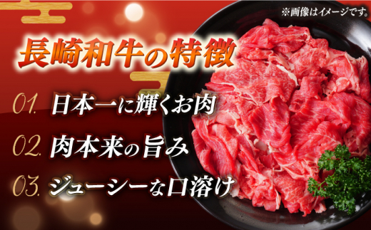 【6回定期便】 長崎和牛 黒毛和牛100％ひき肉 毎月500g×2 （A4またはA5ランク） 長与町/炭火焼肉あおい [EBW068]