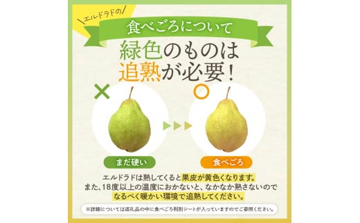 【令和6年産 先行予約】西洋梨エルドラド2kg　秀品　化粧箱入り 山形県 東根市 東根農産センター提供 hi027-145