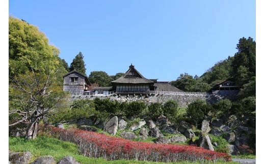 【大修理前の曲り家千葉家】
　千葉家は江戸時代の飢饉の際に地域の人々の救済のため約10年かけて普請したと伝えられています