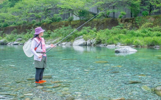 有名料亭も絶賛！鮎屋仁淀川の仁淀ブルー友釣り天然鮎500g（5-14尾）【2024年6月アユ漁解禁後発送】